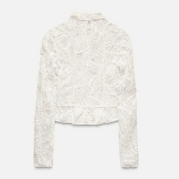 Mesh top ZW Collection - Picture 3 of 6